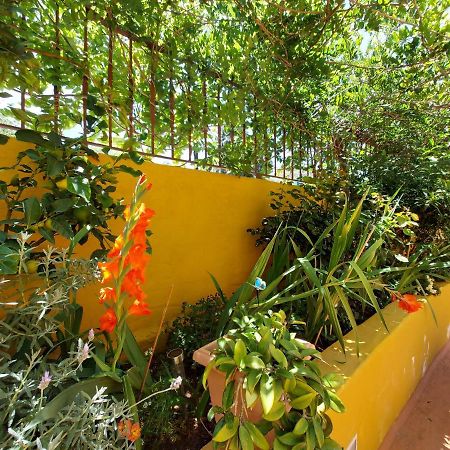 Casa Maestro Lelo - Acogedora Casa Rural Canaria Con Patios Y Jardines De Flores 大加那利岛拉斯帕尔马斯 外观 照片