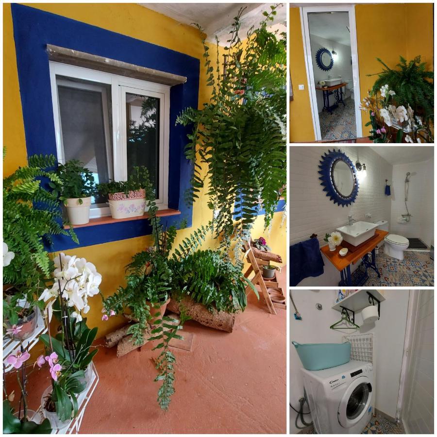 Casa Maestro Lelo - Acogedora Casa Rural Canaria Con Patios Y Jardines De Flores 大加那利岛拉斯帕尔马斯 外观 照片