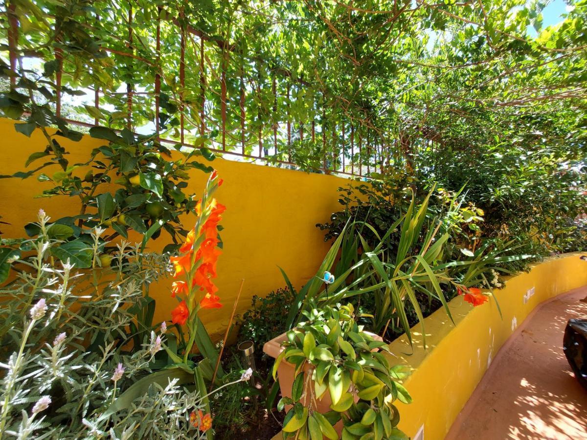 Casa Maestro Lelo - Acogedora Casa Rural Canaria Con Patios Y Jardines De Flores 大加那利岛拉斯帕尔马斯 外观 照片